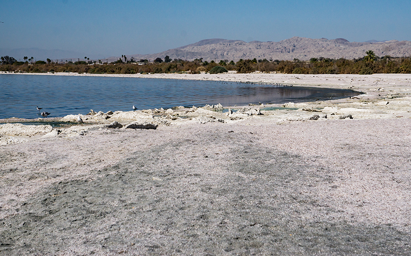 Salton Sea